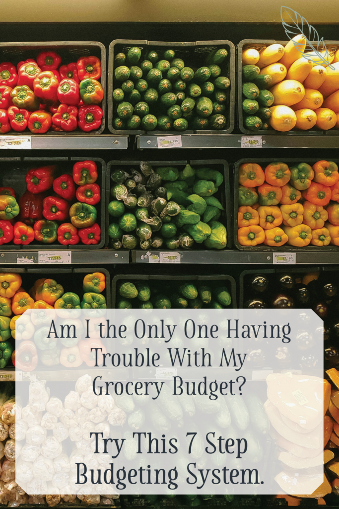 Budget Grocery Planning 04 7 Step Budget Grocery Planning for Beginners